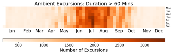 ambient excursions duration 60 minutes