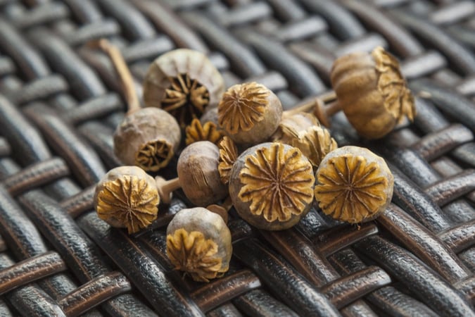 Heroes of Pharmacy Safety: Friedrich Serturner Discovers Morphine