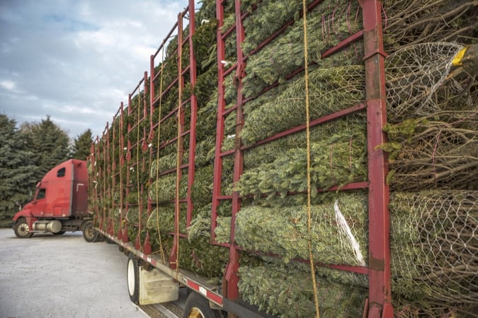 On the Road Again: Delivering Christmas Trees