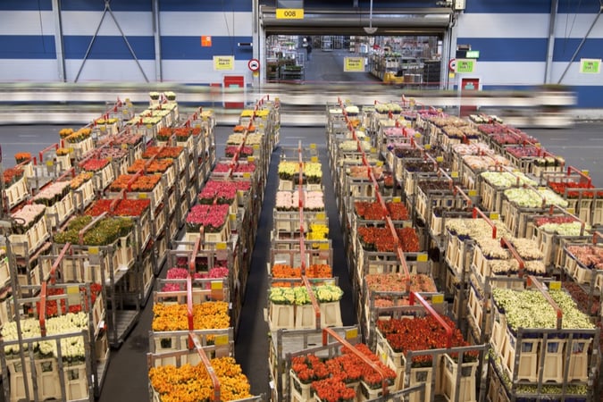 Leveraging Cold Chain Visibility to Extend Shelf Life and Reduces Loss