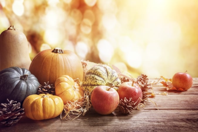 Preventing Grocery Store Food Waste at Thanksgiving