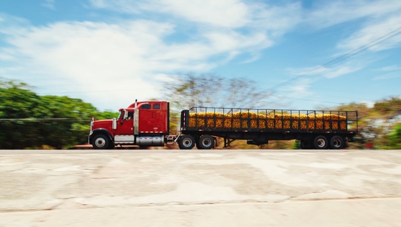 Improving Traceability in Food Chains