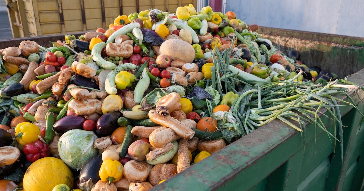 produce food waste in a green dumpster 