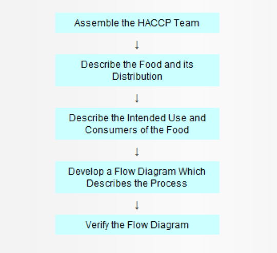 Haccp Plan Flow Chart