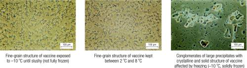 Shake Test Using the 'Shake Test' to Determine Vaccine Efficacy (Part 2)