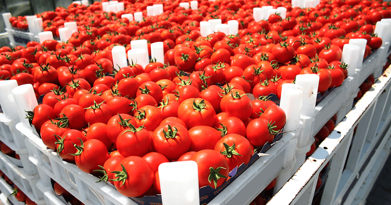 Post-COVID-19 Food Safety Will Introduce a 'New Era' of Digital Tools