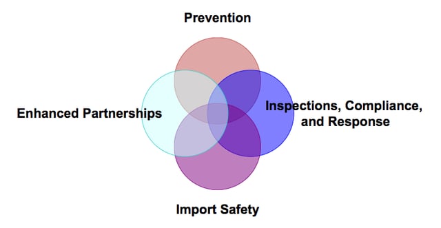 Main Themes of FSMA
