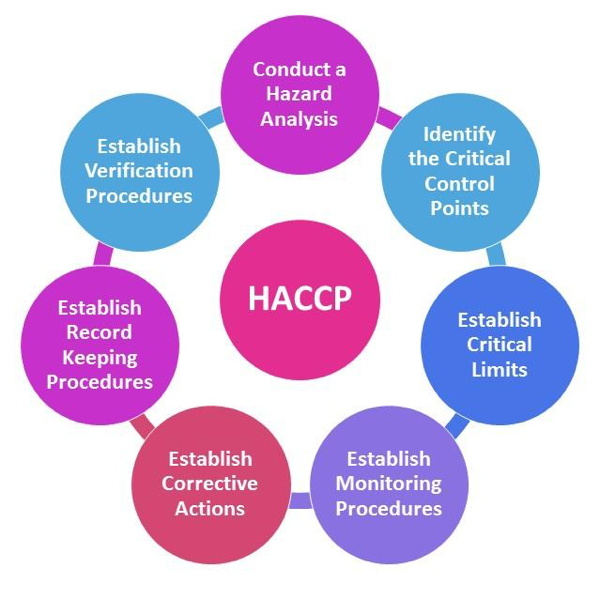 Building Out Your HACCP Plan With The 7 Principles