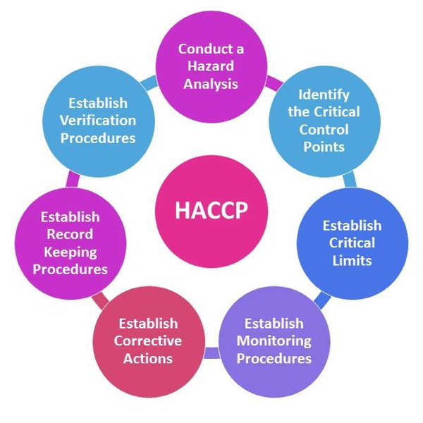 Building Out Your Haccp Plan With The 7 Principles
